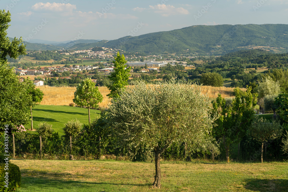 Fototapeta premium Summer landscape at Soci, Tuscany