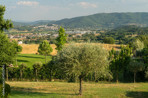 Summer landscape at Soci  Tuscany