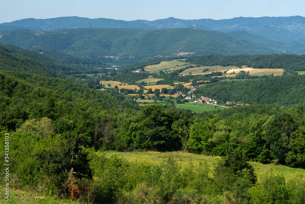 Summer landscape near Verna, Tuscany