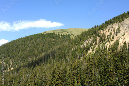 mountains tree cloud house