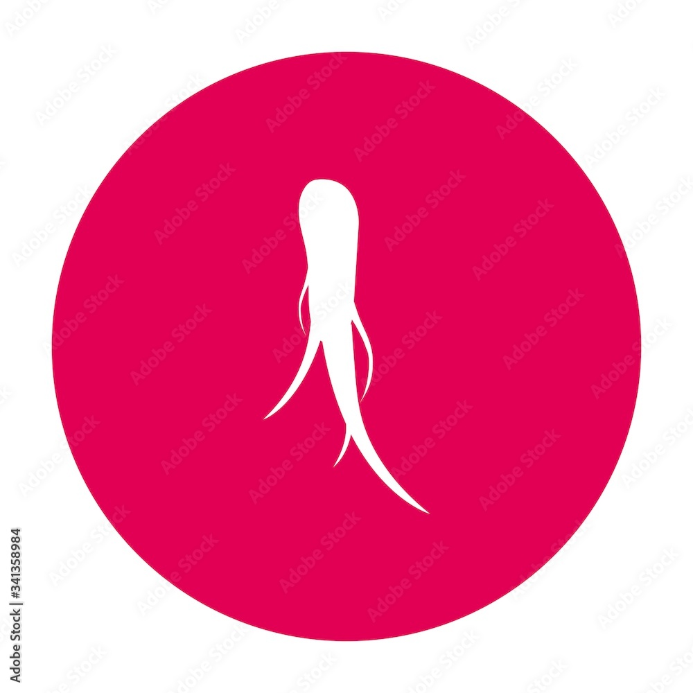 ginseng logo ginseng logo