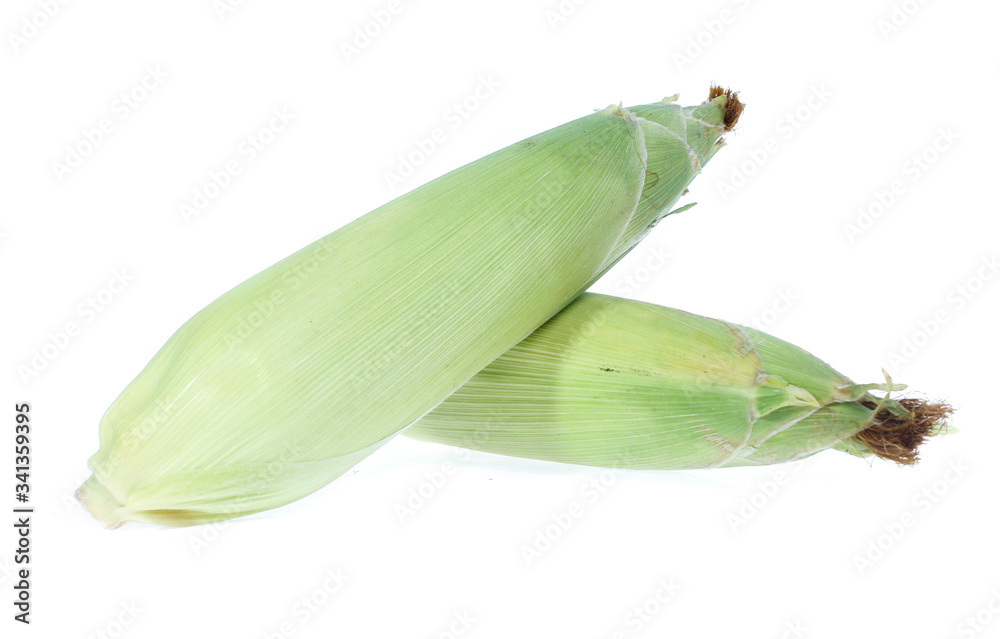 An ear of corn isolated on a white background An ear of corn isolated on a white background