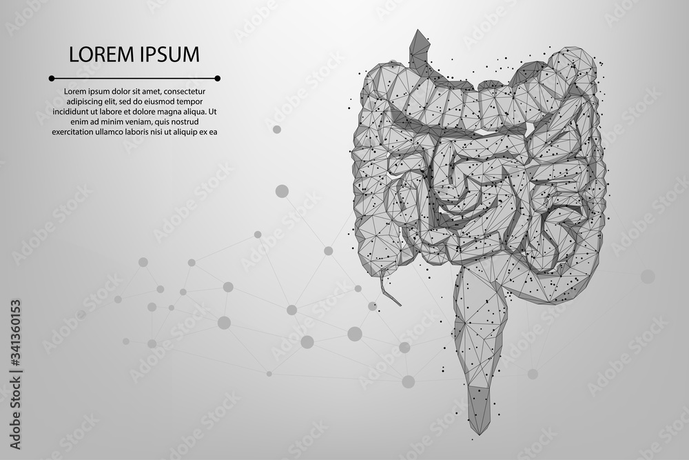 Obraz premium Abstract meah line and point polygonal intestines. Scanning, research and diagnosis of the human intestines. Low poly wireframe vector illustration