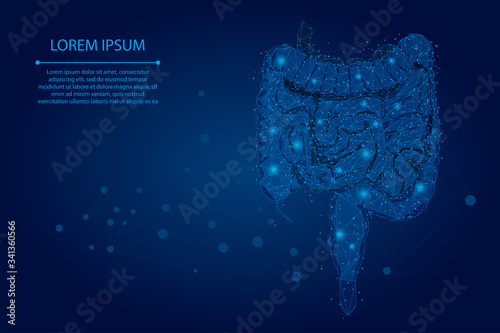 Abstract meah line and point polygonal intestines. Scanning, research and diagnosis of the human intestines. Low poly wireframe vector illustration