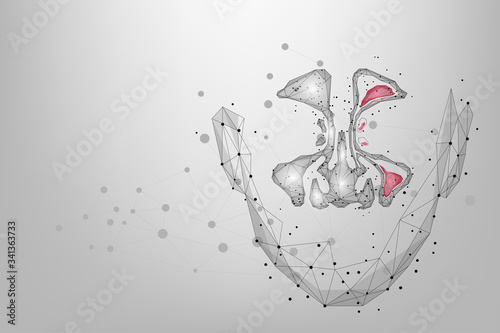 Abstract mesh line and point Sinusitis. Low poly Healthy and inflammation nasal sinus. Polygonal illustration photo