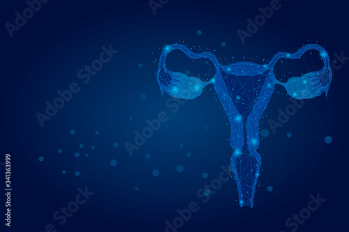 Abstract mesh line and point Ovaries. Low poly female reproductive organs uterus and ovaries health care. Polygonal illustration
