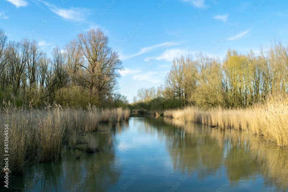 Beautiful landscape with forest lake on the background of bright blue sky in the nature reserve Wilgenbos Almere de Vaart. Spring quiet evening. Beautiful landscape with forest lake on the background of bright blue sky in the nature reserve Wilgenbos Almere de Vaart. Spring quiet evening.
