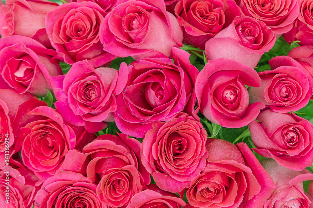 Bouquet of the beautiful beautiful red roses. Background. Closeup