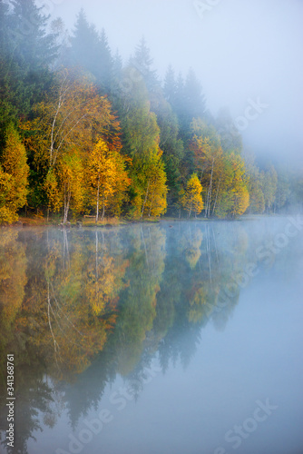 autumn landscape in the mountains with trees reflecting in the water at St. Ana s lake  Romania