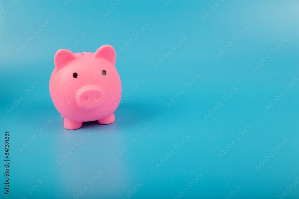 pink piggy bank on blue background