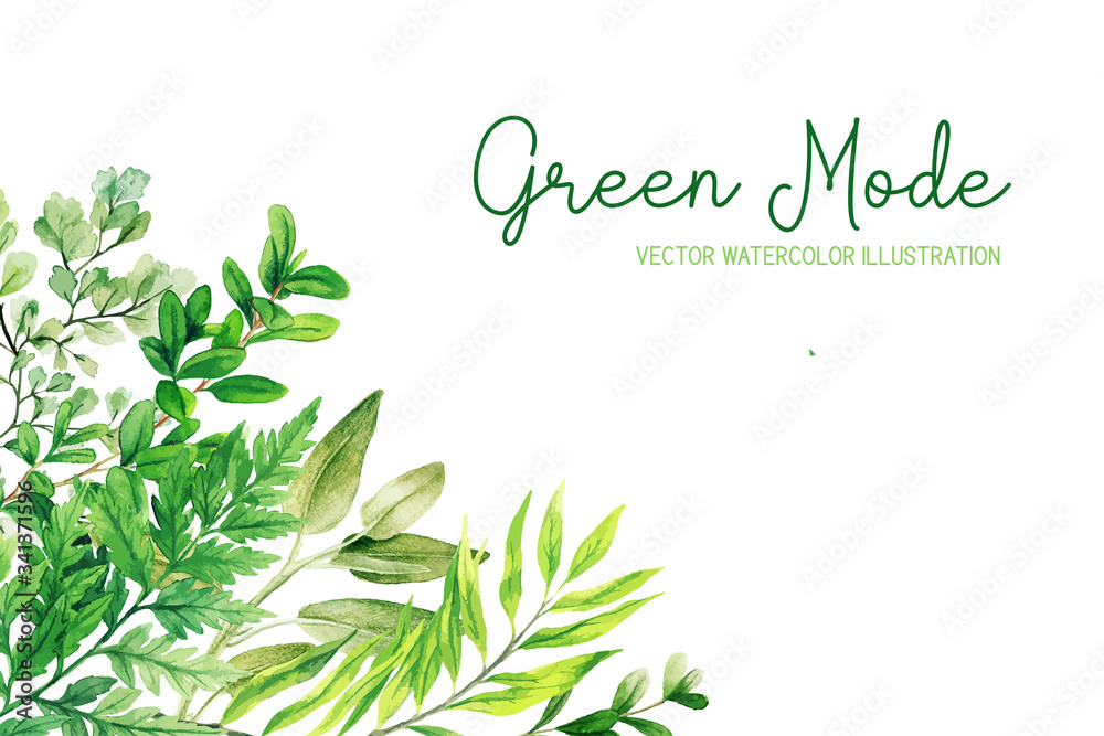 Wild herbs, leaves and ferns, green corner frame
