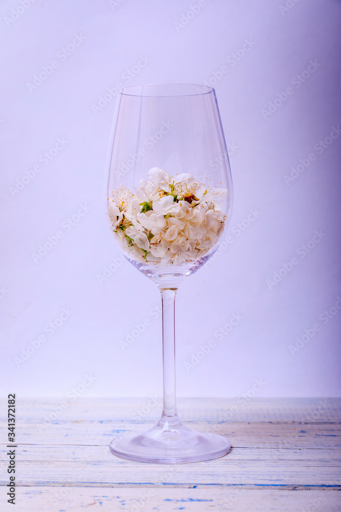 Glass full of cherry blossom flower or Sakura at spring on wooden table and white background. Copy space for text. Glass full of cherry blossom flower or Sakura at spring on wooden table and white background. Copy space for text.