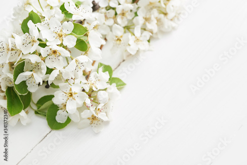White flower Apricot.Spring easter greeting card.Flowers Cherry flowering. White flower sakura.Sunny day. Spring flowers. Beautiful Orchard.Springtime