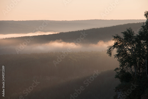 Clouds above the forests, evening