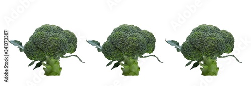 Broccoli cabbage isolated on a white background. Broccoli head
