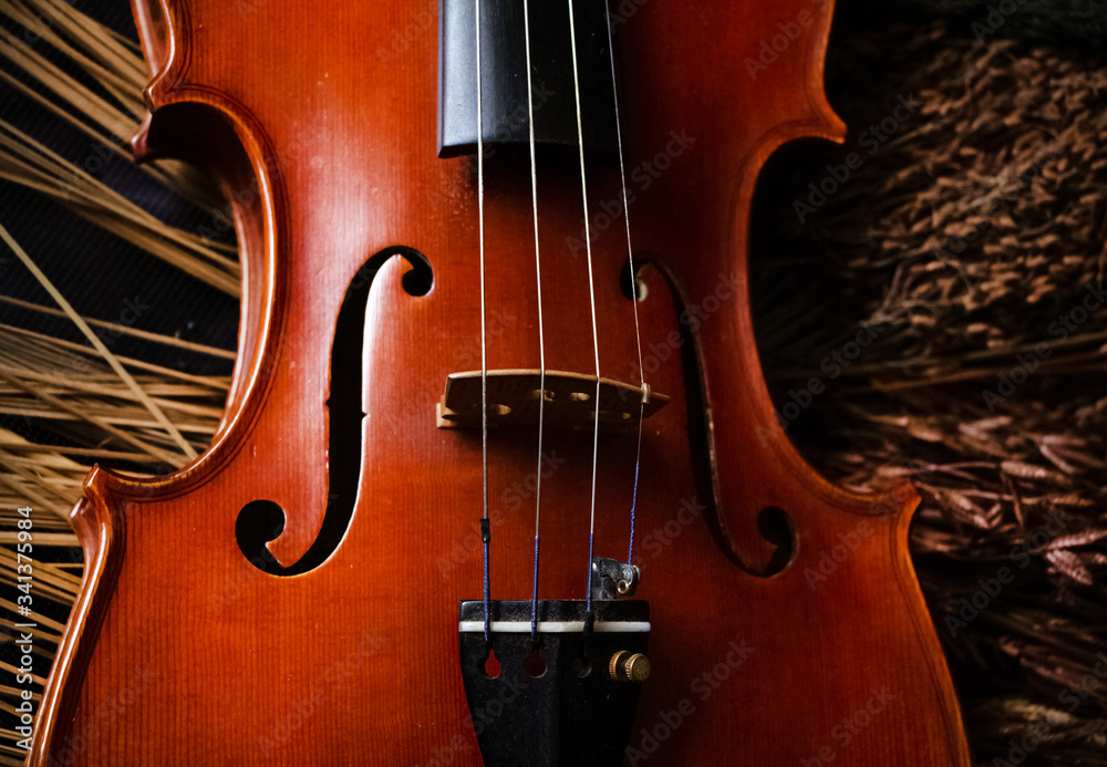 Closeup front side of violin,show design and part of acoustic instrument,vintage and art tone,blurry light around Closeup front side of violin,show design and part of acoustic instrument,vintage and art tone,blurry light around