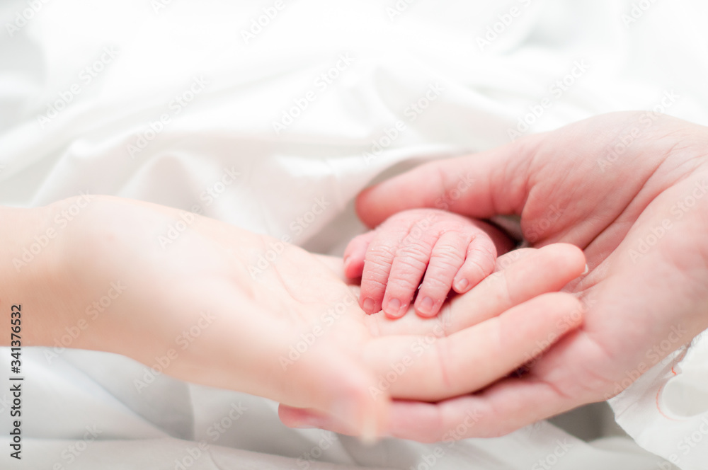 Main de nouveau-né dans la main de ses parents Main de nouveau-né dans la main de ses parents