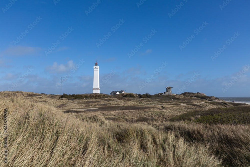 Denmark, Romo, Blavand, Grassy coastal landscape with lighthouse in background Denmark, Romo, Blavand, Grassy coastal landscape with lighthouse in background