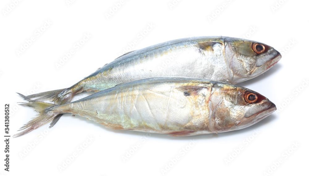 Fresh mackerel isolated on white background Fresh mackerel isolated on white background
