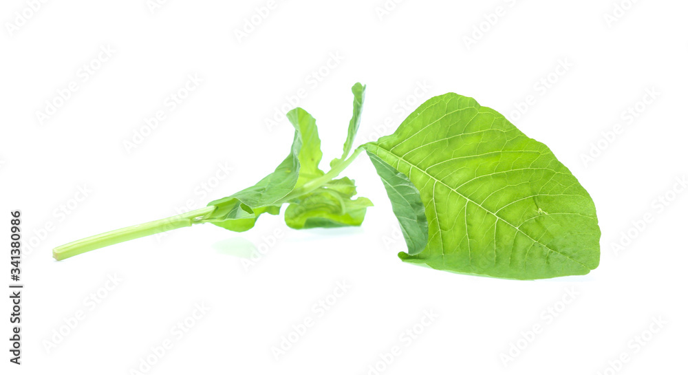 Obraz premium Spinach leaves close up isolated on white