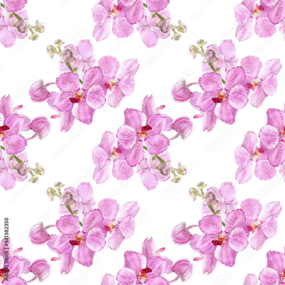 Fototapeta premium Watercolor of pink vanda orchid isolated on white background. Seamless pattern with colorful tropical flowers. Stock illustration for your design.