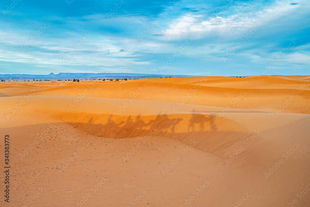 Shadow of camel caravan visible on sand dunes of Sahara desert, Atlas Mountains in the background, Morocco