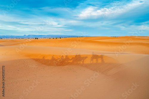 Shadow of camel caravan visible on sand dunes of Sahara desert  Atlas Mountains in the background  Morocco