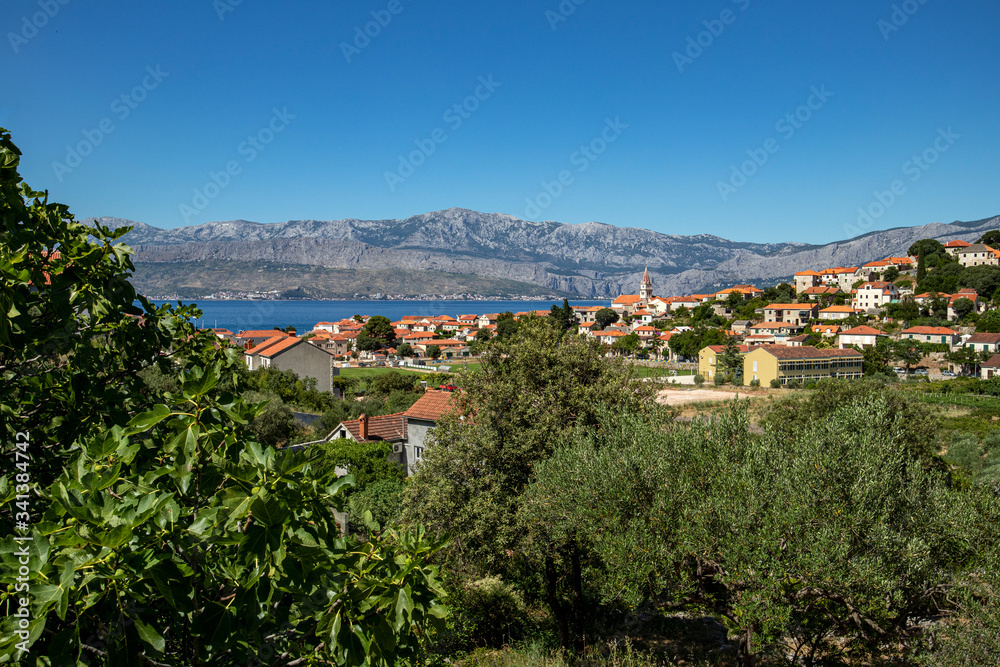 Red roofs of village Postira on island Brac in Croatia with green fig and olive trees in front and mountain Mosor in background