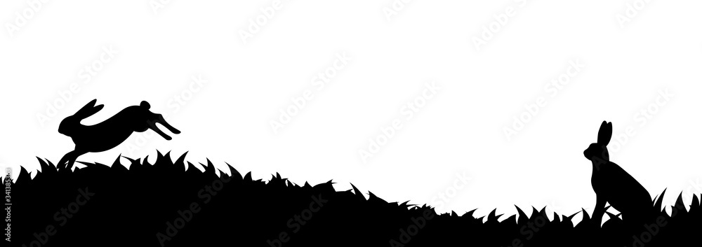Silhouette of hare in the grass. Silhouette of hare in the grass.