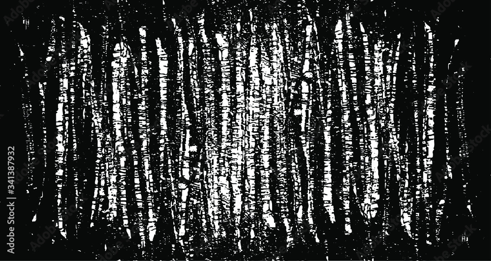 Vector brush sroke texture. Distressed uneven grunge background. Abstract distressed vector illustration. Overlay over any design to create interesting effect and depth. Black isolated on white. EPS10