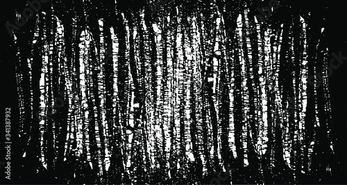 Vector brush sroke texture. Distressed uneven grunge background. Abstract distressed vector illustration. Overlay over any design to create interesting effect and depth. Black isolated on white. EPS10
