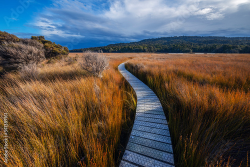 New Zealand, Otago,?Clutha?District, Empty?Tautuku?Estuary Walkway surrounded by tall brown grass photo