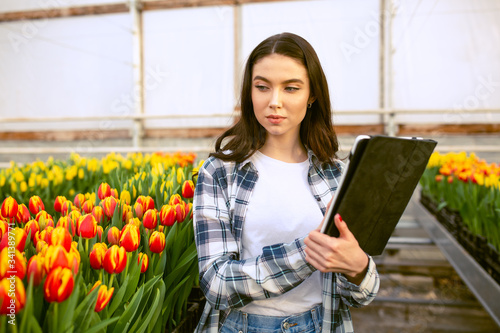 Girl worker, Beautiful young smiling girl with tablet, worker with flowers in greenhouse. Concept work in the greenhouse, flowers. Copy space stock image