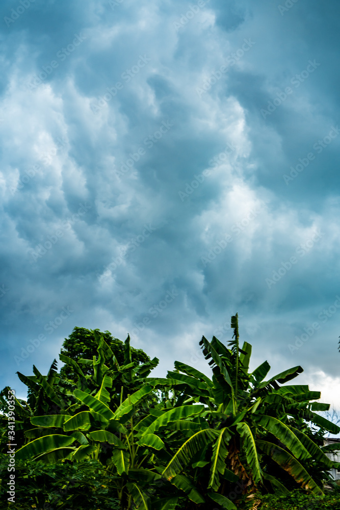 Obraz premium Background of beautiful dark clouds before a raining and thunder-storm. A dramatic sky with gray dense clouds. view from ground surface.sad feel.