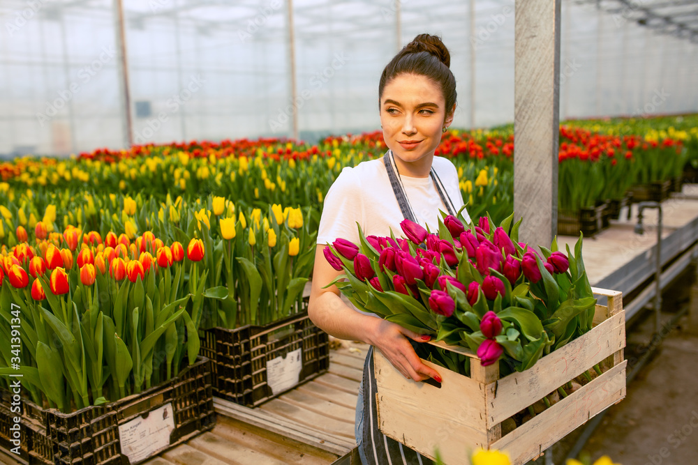 Girl worker with tulips,Beautiful young smiling girl, worker with flowers in greenhouse. Concept work in the greenhouse, flowers. Copy space  stock image