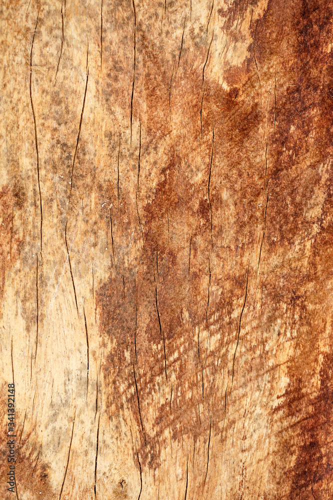 Old nature wooden texture background.