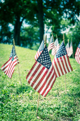 American flags display on green grass lawn under matured trees on Memorial Day in Dallas, Texas