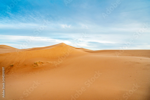 Peaceful landscape of Sahara Desert sand dunes  Morocco.