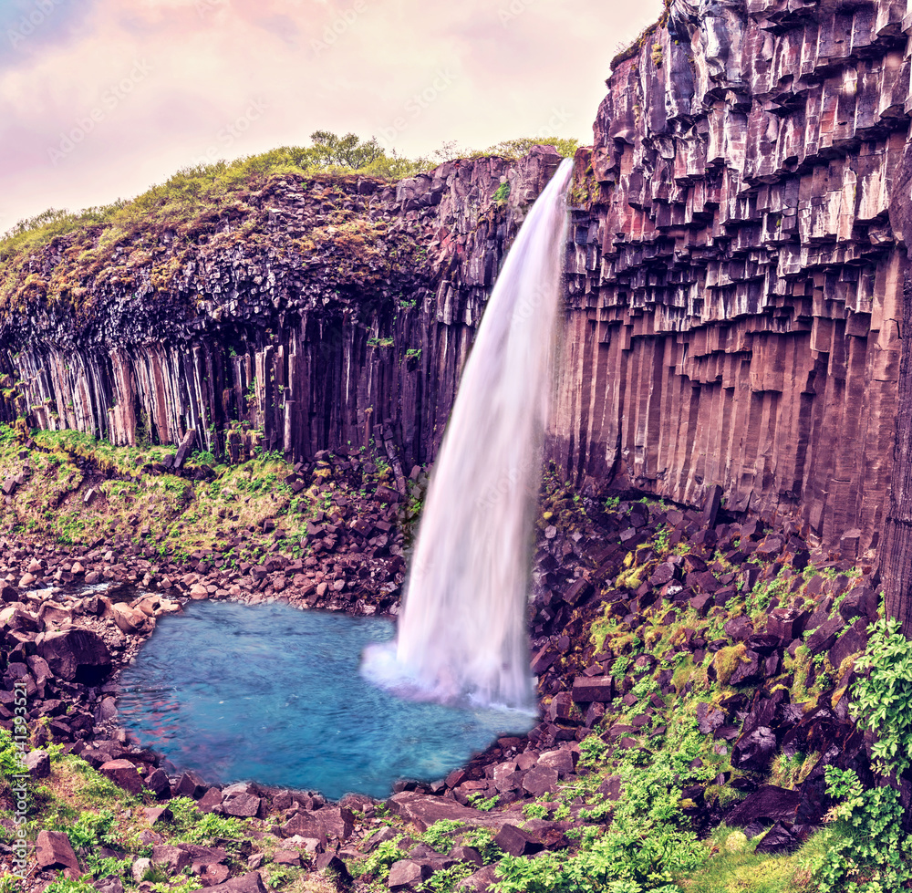 Magical landscape with a famous Svartifoss waterfall in the middle of basalt pillars in Skaftafell, Vatnajokull National Park, Iceland. Exotic countries. Amazing places.