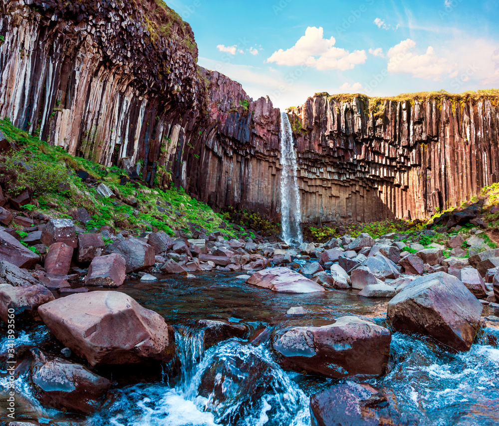 Magical landscape with a famous Svartifoss waterfall in the middle of basalt pillars in Skaftafell, Vatnajokull National Park, Iceland. Exotic countries.