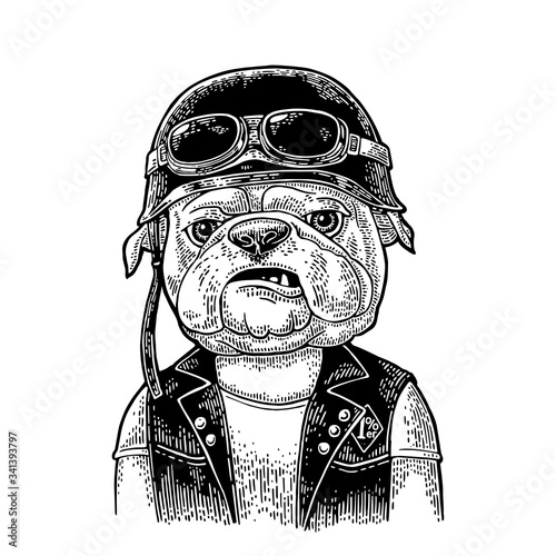 Dog bulldog dressed in the helmet and glasses. Vintage black engraving