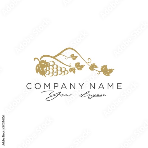 logo grapes and mountains icon vector