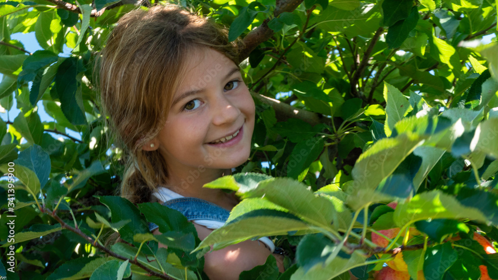 Girl in apple tree in autumn. Girl in apple tree in autumn.