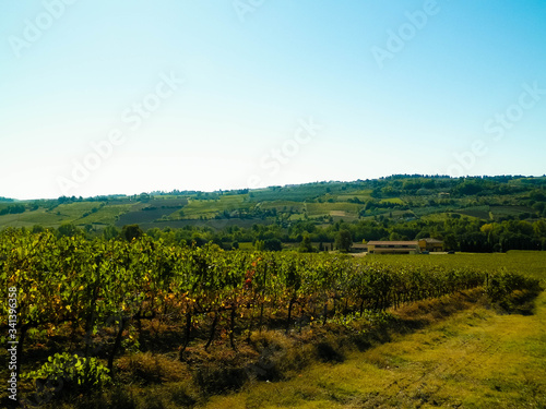 Landscape of the Tuscan vineyards  Chianti region  Italy