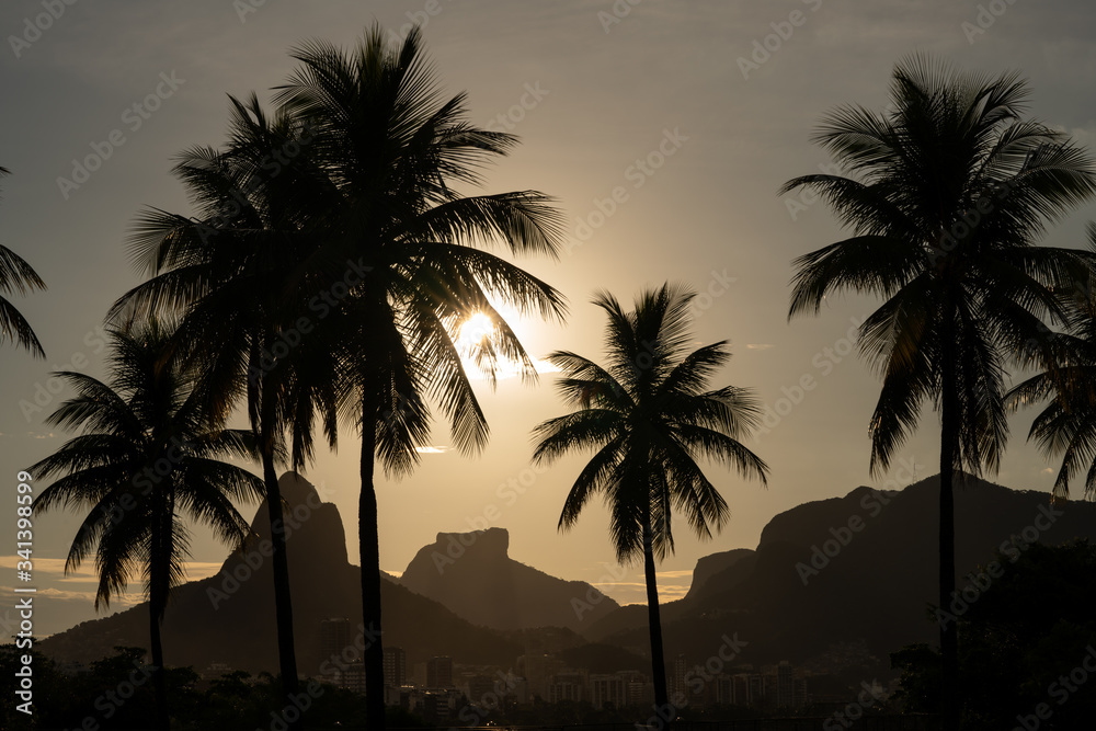 Sunset over palm trees and Dois Irmaos near Lagoa in Rio de Janeiro Brazil Sunset over palm trees and Dois Irmaos near Lagoa in Rio de Janeiro Brazil