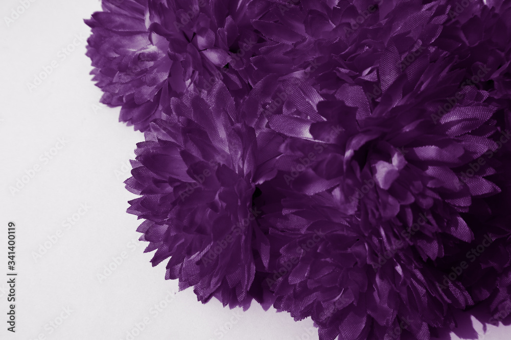 Obraz premium Beautiful abstract color blue and purple flowers on black background and pink graphic pink flower frame and pink leaves texture, purple background, colorful graphics banner, pink background 
