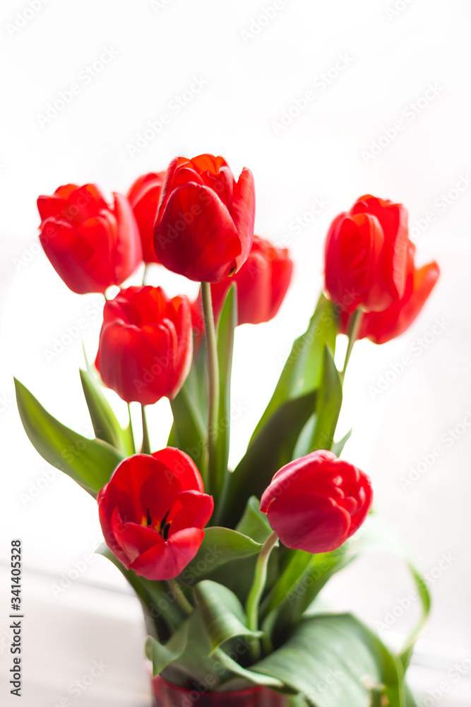 Close up of blooming bouquet of amazing red tulips in vase with natural sunlight on a window, selective focus.Bright high key flowers vertical banner,greeting card. Interior Design minimalism style.