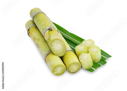 Fresh green sugar cane cut into slices before it is squeezed into sugar isolated on white background.This has clipping path.  