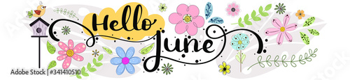 Hello June. JUNE month vector with flowers, birdhouse and leaves. Decoration floral. Illustration month June