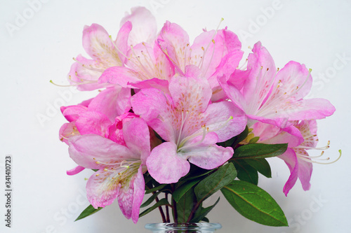 A small bouquet of pink azalea flowers in a clear vase